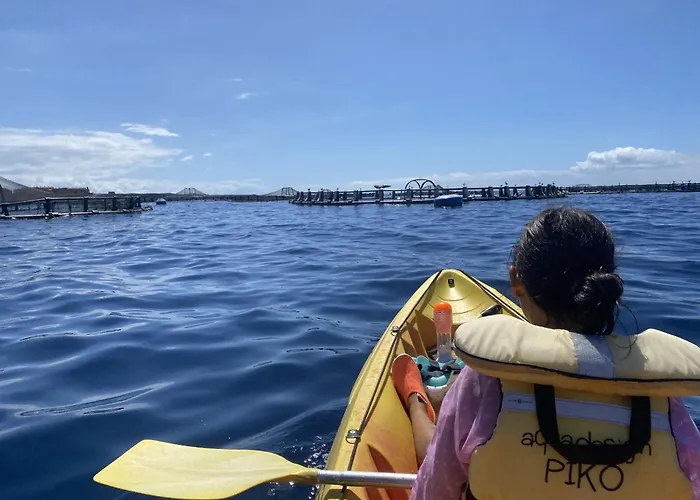 Flamingo Luxury Views By Deihu Experiences Apartamento