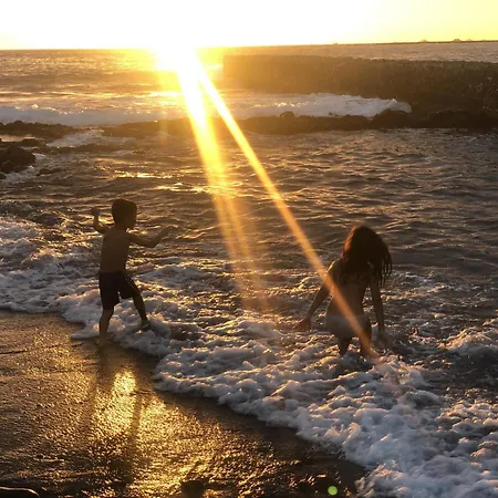 Flamingo Luxury Views By Deihu Experiences パルム・マール